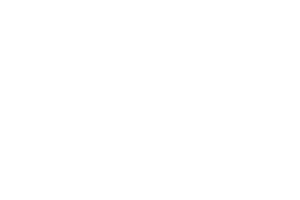 Signal Marketing logo